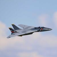 E-FLITE F-14 TOMCAT TWIN 40MM EDF JET, BNF BASIC, EFL01450